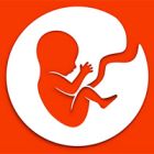 BitLife game thumbnail